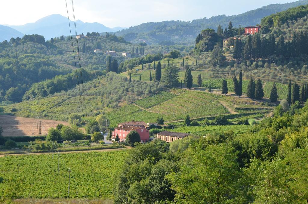 Agriturismo Le Murelle Lucca Eksteriør billede