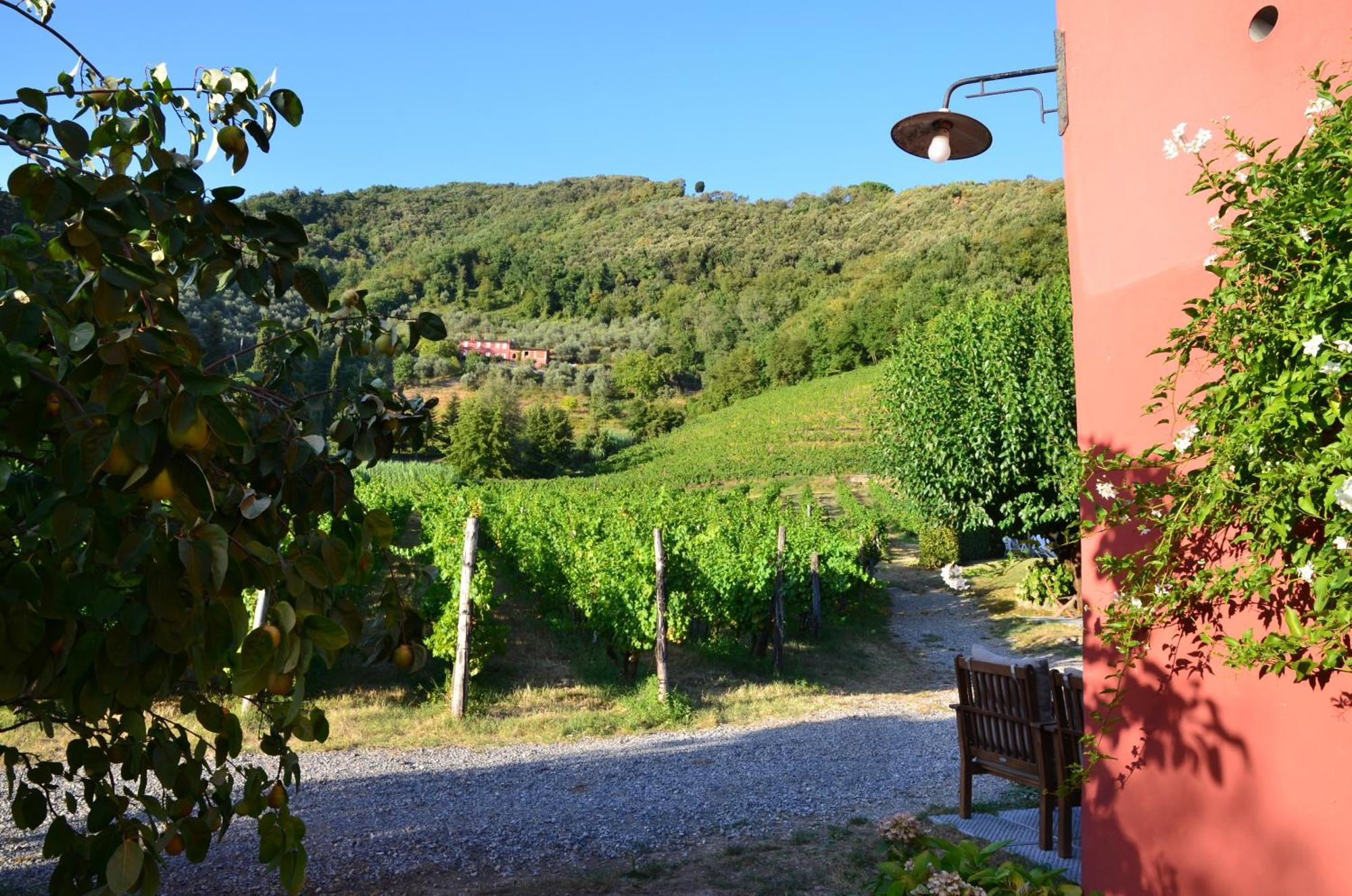 Agriturismo Le Murelle Lucca Eksteriør billede